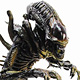 vf^[(N[i[),AVP2,[r[E}X^[s[X,tBMA,