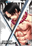 s[X,one piece,}tH[h,DVD,